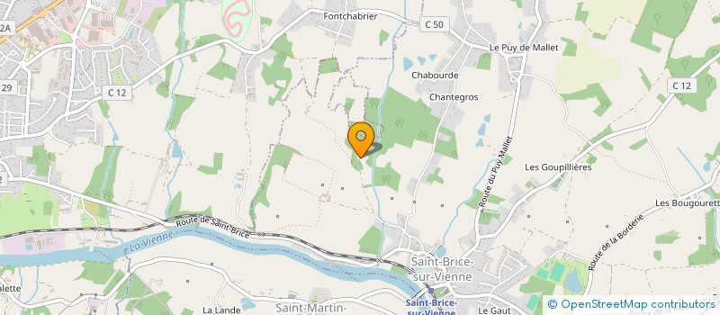 localisation de l'entreprise SCI DU 4 RUE DE LA MAITRISE  SAINT-BRICE-SUR-VIENNE