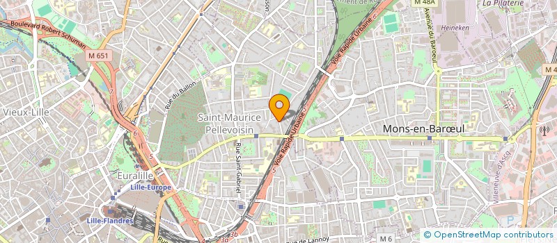 localisation de l'entreprise SCI DU 55 RUE SAINT DRUON à LILLE