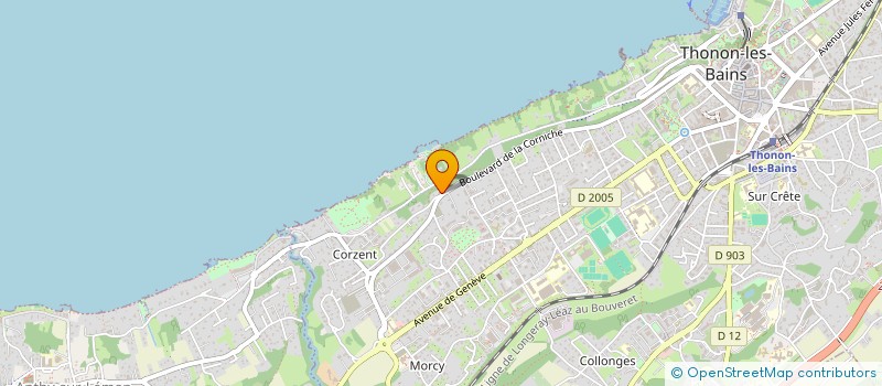 localisation de l'entreprise SCI DU 56 RUE DU GUE à THONON-LES-BAINS