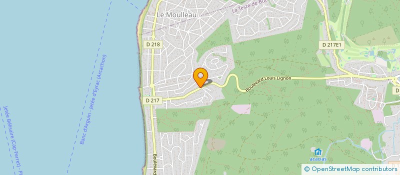 localisation de l'entreprise SCI DU 57 BD LOUIS LIGNON  LA TESTE-DE-BUCH