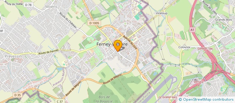 localisation de l'entreprise SCI DU 7 RUE DE MEYRIN à FERNEY-VOLTAIRE