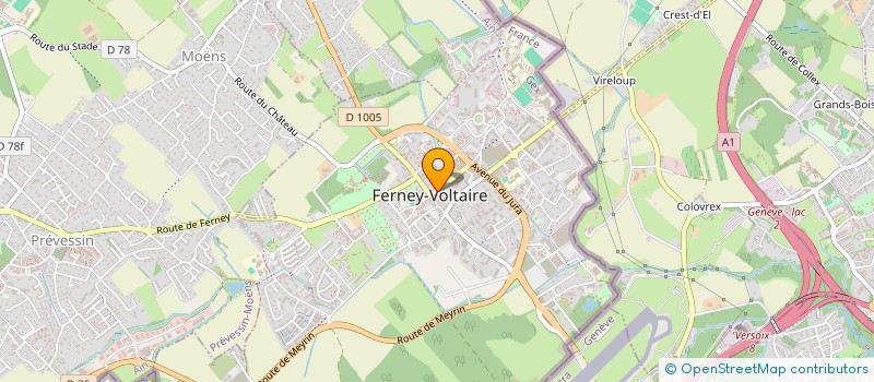 localisation de l'entreprise SCI DU 8 AVENUE VOLTAIRE  FERNEY-VOLTAIRE