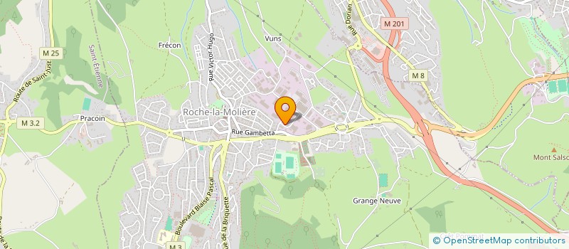 localisation de l'entreprise SCI DU BUISSON  ROCHE-LA-MOLIERE