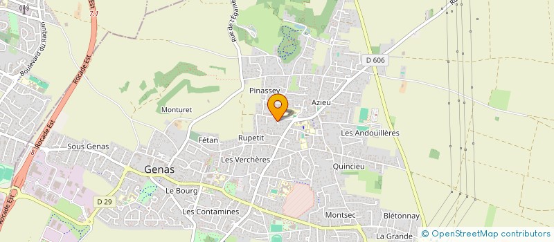 localisation de l'entreprise SCI DU CHAT  GENAS