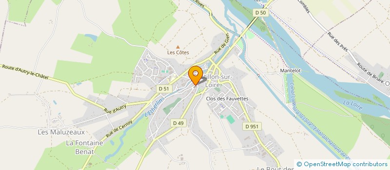 localisation de l'entreprise SCI DU CHATEAU DES HIRONDELLES  CHATILLON-SUR-LOIRE
