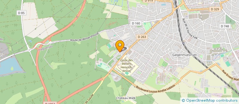 localisation de l'entreprise SCI DU CHEMIN DU PARADIS  HAGUENAU