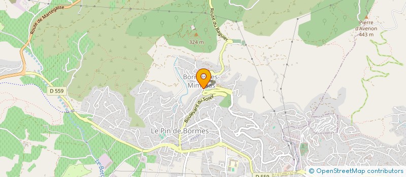localisation de l'entreprise SCI DU CHEMIN LISERON à BORMES-LES-MIMOSAS