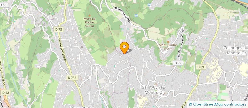 localisation de l'entreprise SCI DU COURS JEAN MOULIN  SAINT-DIDIER-AU-MONT-D OR