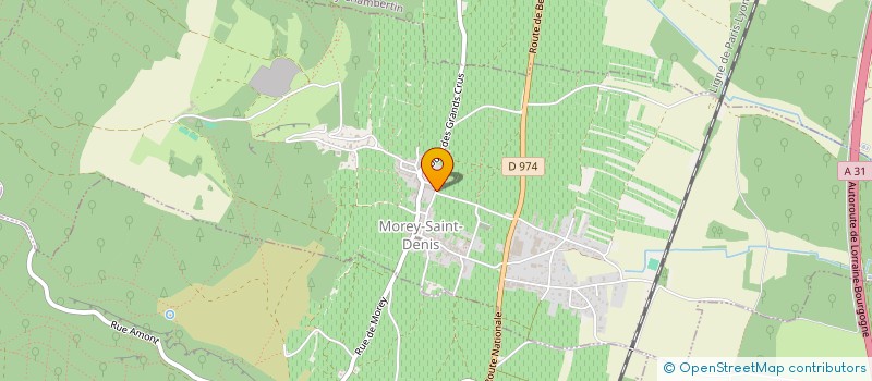 localisation de l'entreprise SCI DU DOMAINE COSSON  MOREY-SAINT-DENIS