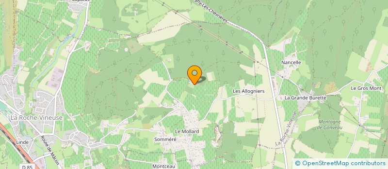 localisation de l'entreprise SCI DU DOMAINE DE LA GREFFIERE  ROCHE-VINEUSE (LA)