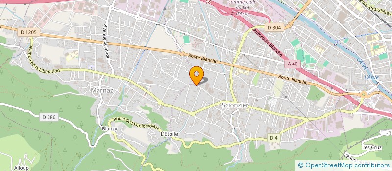localisation de l'entreprise SCI DU MAS BOURBON à SCIONZIER