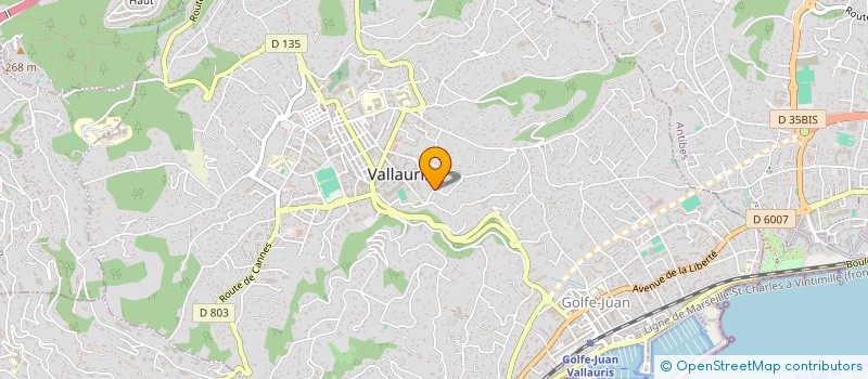 localisation de l'entreprise SCI DU PEYNIBLOU  VALLAURIS