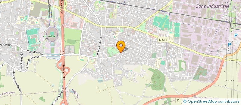 localisation de l'entreprise SCI DUCHENAUD AVOCAT  MEYZIEU