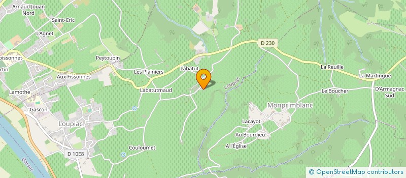 localisation de l'entreprise SCI DUO LOUPIAC  LOUPIAC