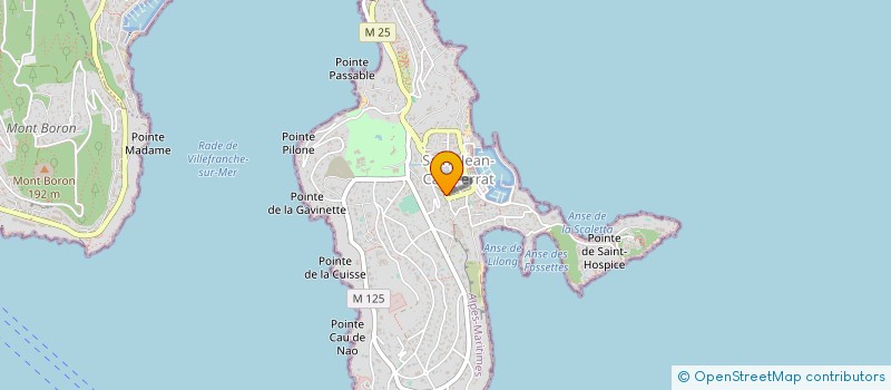 localisation de l'entreprise SCI EARLEY à SAINT-JEAN-CAP-FERRAT