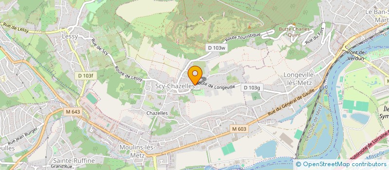 localisation de l'entreprise SCI ELIE FLEUR  SCY-CHAZELLES