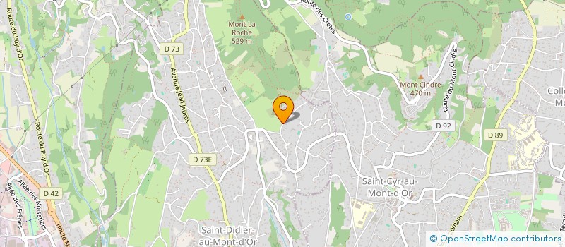 localisation de l'entreprise SCI F2S  SAINT-DIDIER-AU-MONT-D'OR