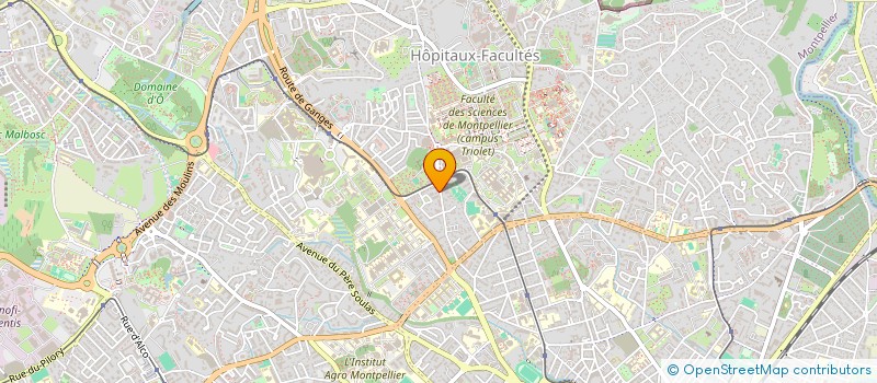 localisation de l'entreprise SCI FAMILIALE FICHEFEUX à MONTPELLIER