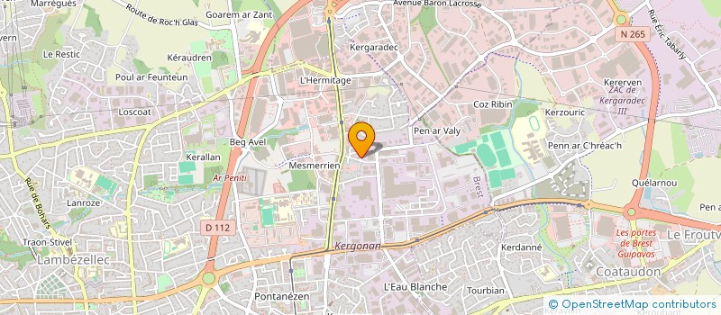 localisation de l'entreprise SCI FAMILLE DIAS GOMES  BREST