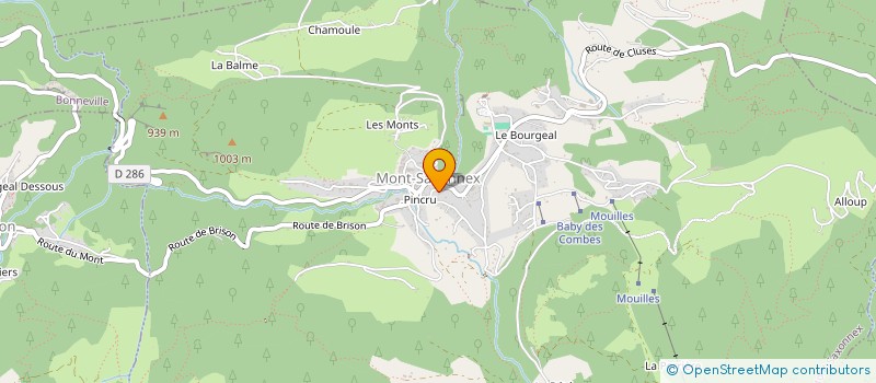 localisation de l'entreprise SCI FAMILLE LOPEZ  MONT-SAXONNEX