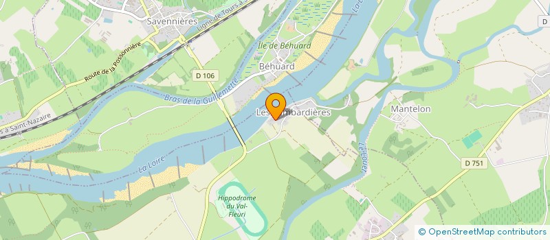 localisation de l'entreprise SCI FAMILLE TESSIER  ROCHEFORT-SUR-LOIRE