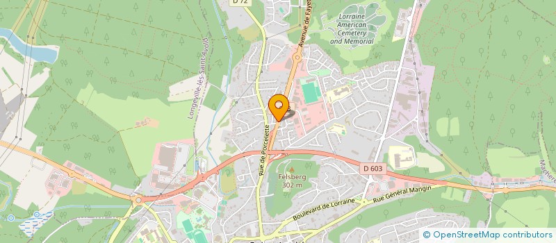 localisation de l'entreprise SCI FAULQUEMONT à SAINT-AVOLD