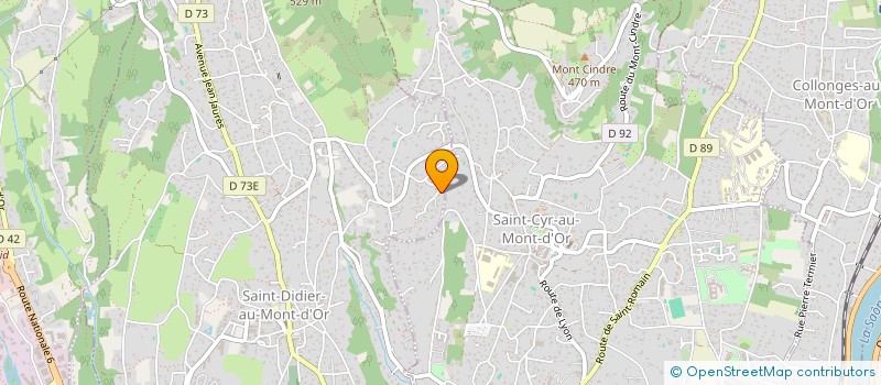localisation de l'entreprise SCI FERLATIERE  SAINT-DIDIER-AU-MONT-D'OR