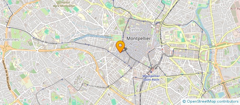 localisation de l'entreprise SCI FITZRI BREA à MONTPELLIER