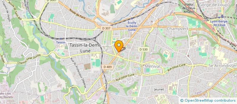 localisation de l'entreprise SCI FLEUR D'O  TASSIN-LA-DEMI-LUNE