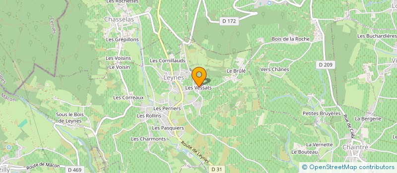 localisation de l'entreprise SCI FLORE  LEYNES