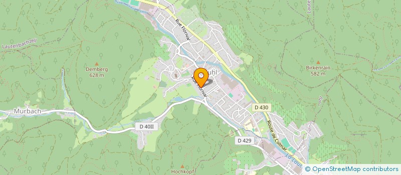 localisation de l'entreprise SCI FLORIVAL 38  BUHL