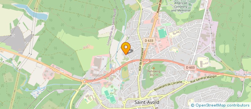localisation de l'entreprise SCI FRANCOIS DE GRIMALDI à SAINT-AVOLD