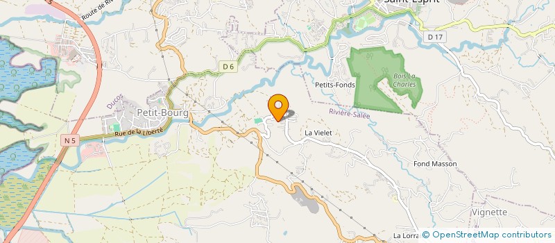 localisation de l'entreprise SCI FRERES ET FILS  RIVIERE-SALEE