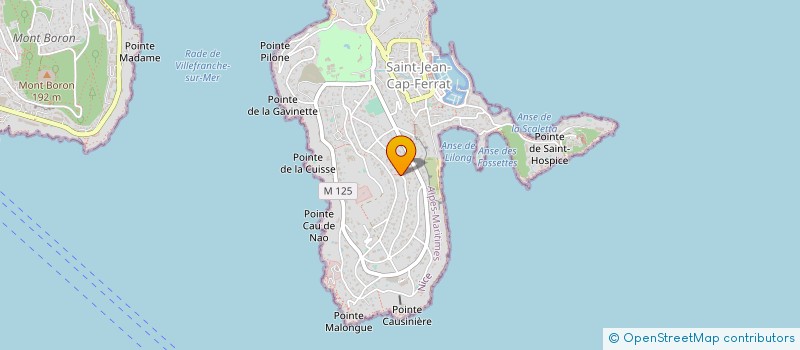localisation de l'entreprise SCI GOODWIL FRANCE à SAINT-JEAN-CAP-FERRAT