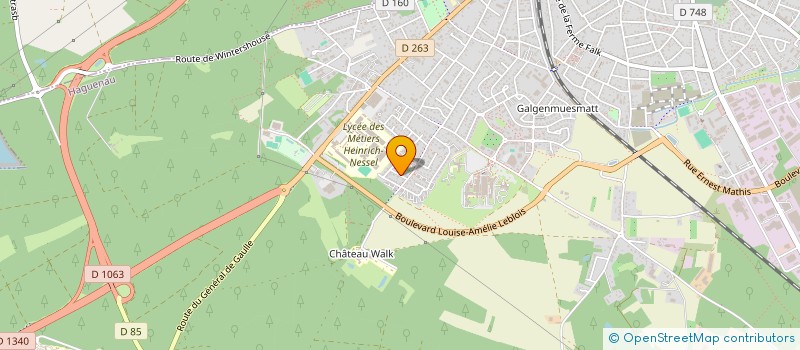 localisation de l'entreprise SCI GROUPE GECANT  HAGUENAU