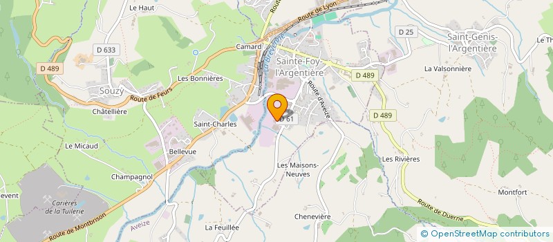 localisation de l'entreprise SCI HDG  SAINTE-FOY-L'ARGENTIERE