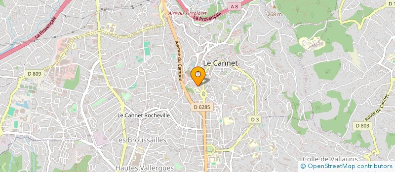 localisation de l'entreprise SCI HERACLES - 17 à LE CANNET