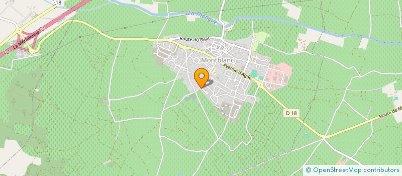 localisation de l'entreprise SCI HIDALGO  MONTBLANC