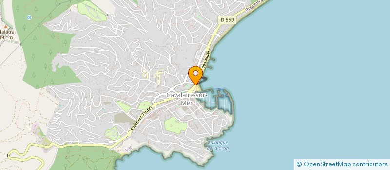 localisation de l'entreprise SCI HOTEL LES ALIZES à CAVALAIRE-SUR-MER