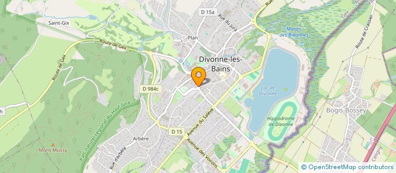 localisation de l'entreprise SCI HUTINS HAUT  DIVONNE-LES-BAINS