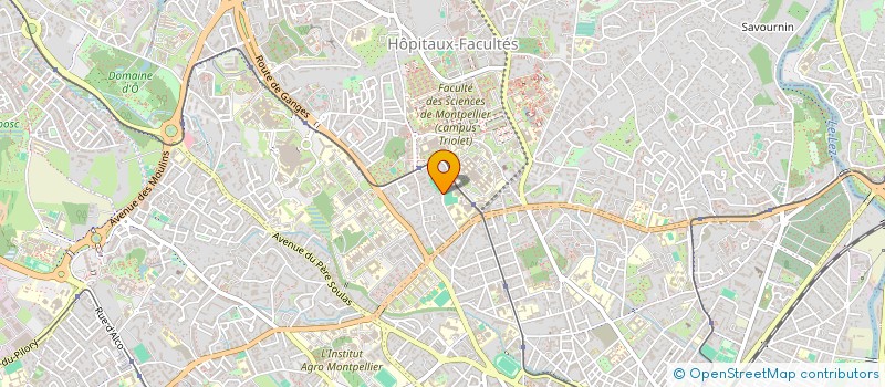 localisation de l'entreprise SCI ICHTUS à MONTPELLIER