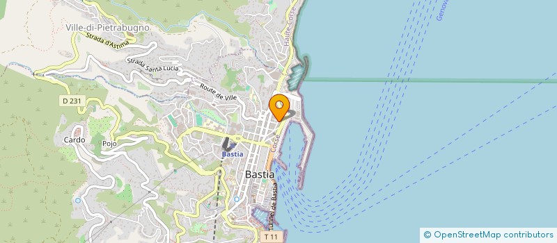 localisation de l'entreprise SCI IMMO 21 à BASTIA