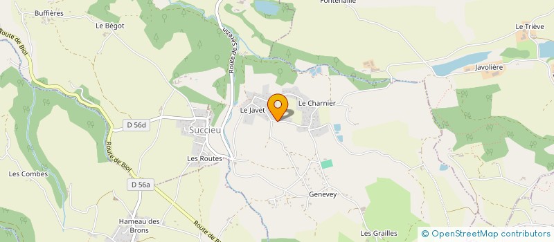 localisation de l'entreprise SCI IMMO NEC PATRIMOINE  SUCCIEU