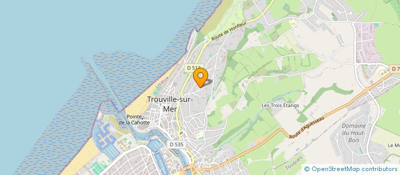 localisation de l'entreprise SCI JAM-IMMO à TROUVILLE-SUR-MER