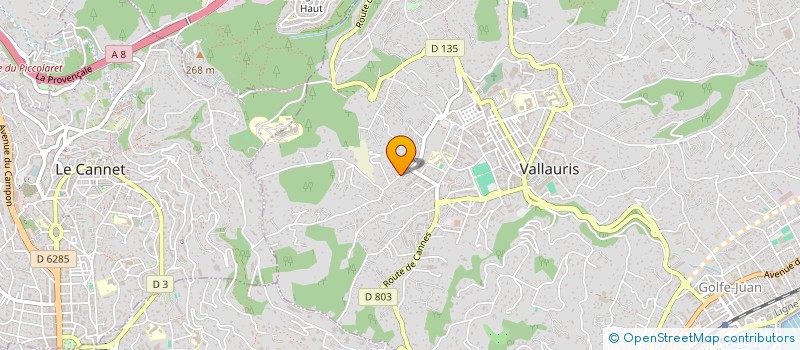 localisation de l'entreprise SCI JASK 30 ALBERT 1ER à VALLAURIS