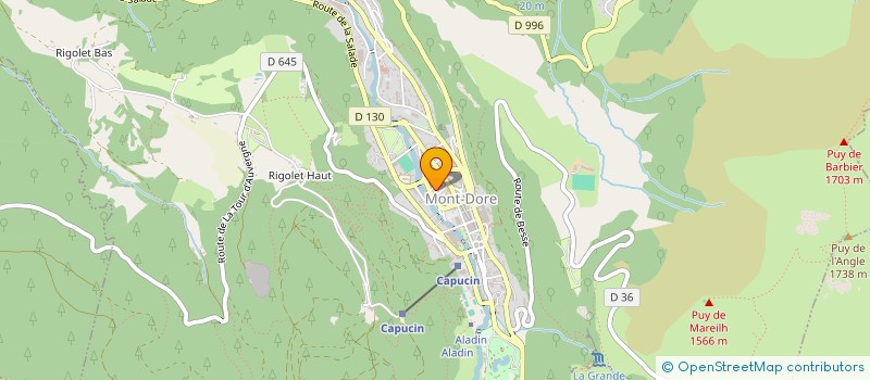 localisation de l'entreprise SCI JCM  MONT-DORE