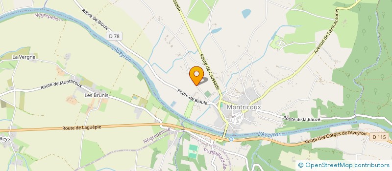 localisation de l'entreprise SCI JELAELCO IMMOBILIER  MONTRICOUX