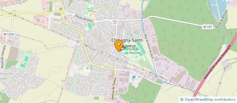 localisation de l'entreprise SCI JOLIBOIS  CHEVIGNY-SAINT-SAUVEUR