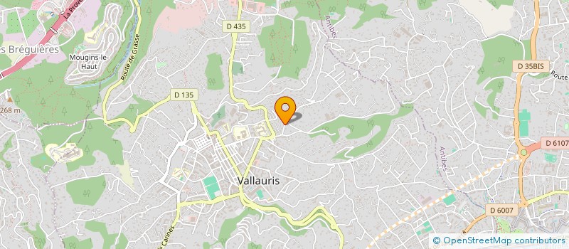 localisation de l'entreprise SCI JVM PATRIMOINE à VALLAURIS