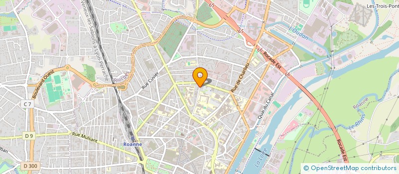 localisation de l'entreprise SCI KINE SAINT MICHEL  ROANNE